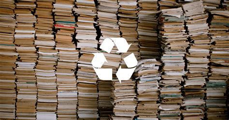 how to recycle old books and why it's important to preserve nature